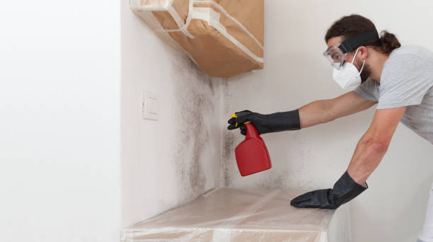 Professional Mold Removal technician working in National Park, NJ